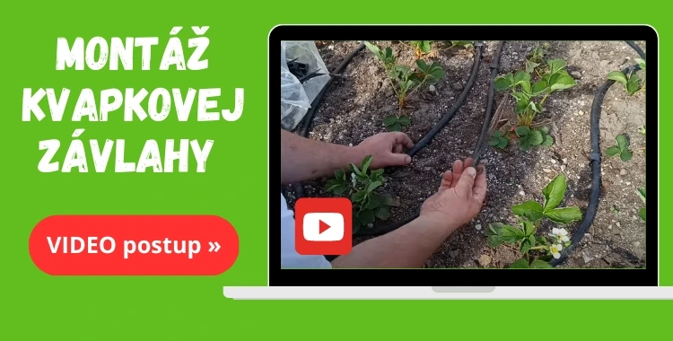 Kvapková závlaha - video postup